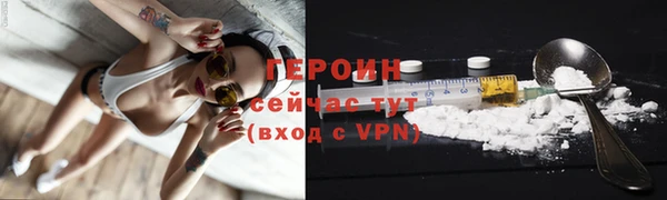 твердый Гусев