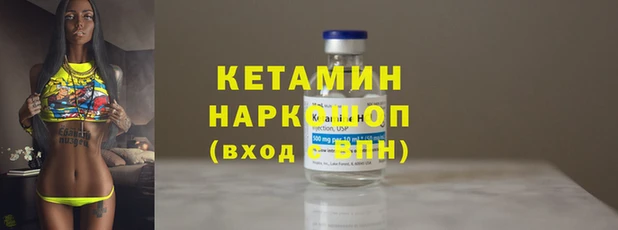 твердый Гусев