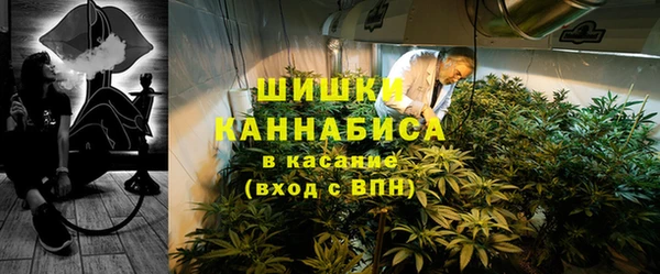 твердый Гусев