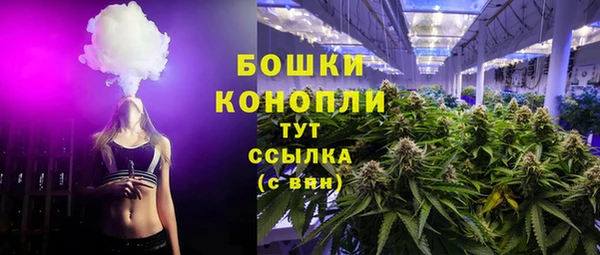 твердый Гусев