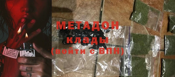 твердый Гусев