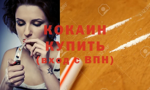 твердый Гусев