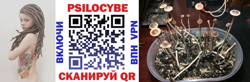 Псилоцибиновые грибы GOLDEN TEACHER  наркотики  Черепаново 